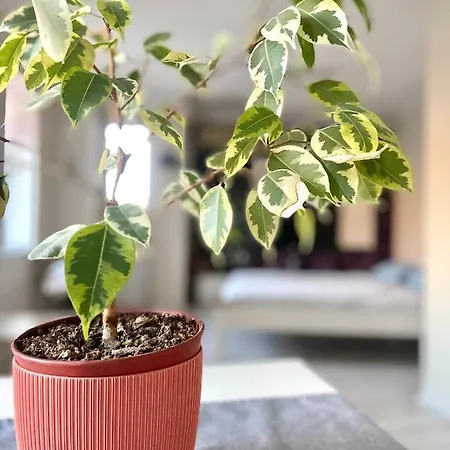 Apartment Flat In The Heart Of Burgas City